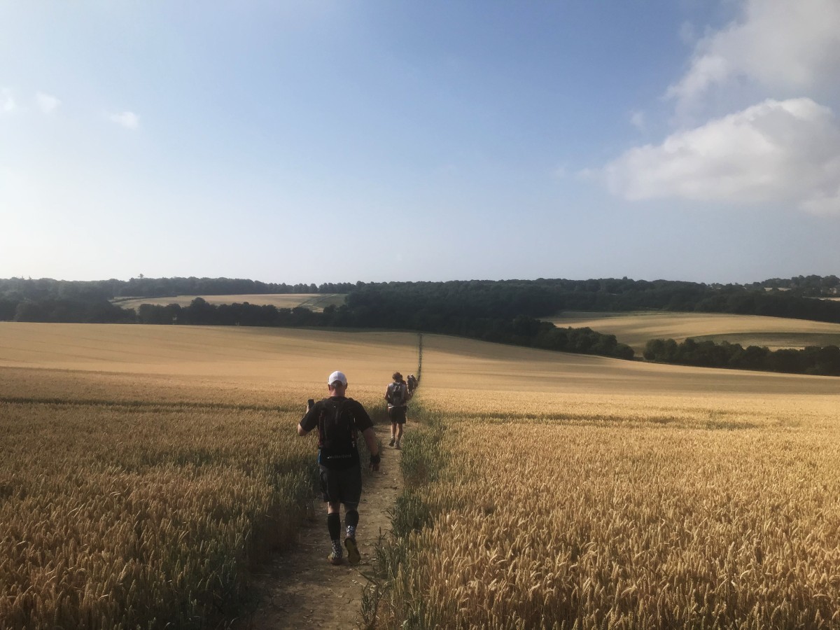 Runners make their way along a narrow path cutting through vast golden wheat fields, the trail stretching far into rolling countryside under a blue sky.
