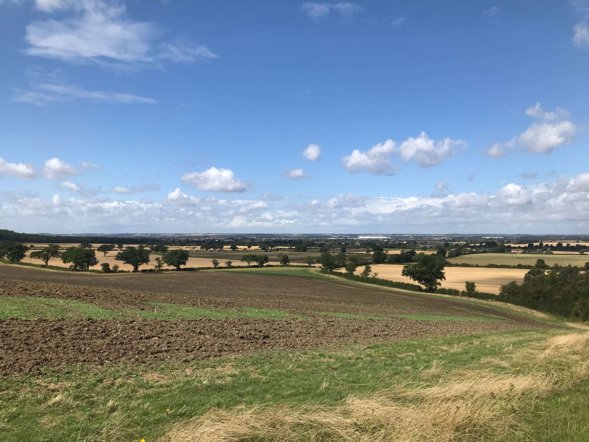 A wide view over rolling Midlands farmland from a hilltop on a bright sunny day, fields of wheat and pasture stretching to the horizon.