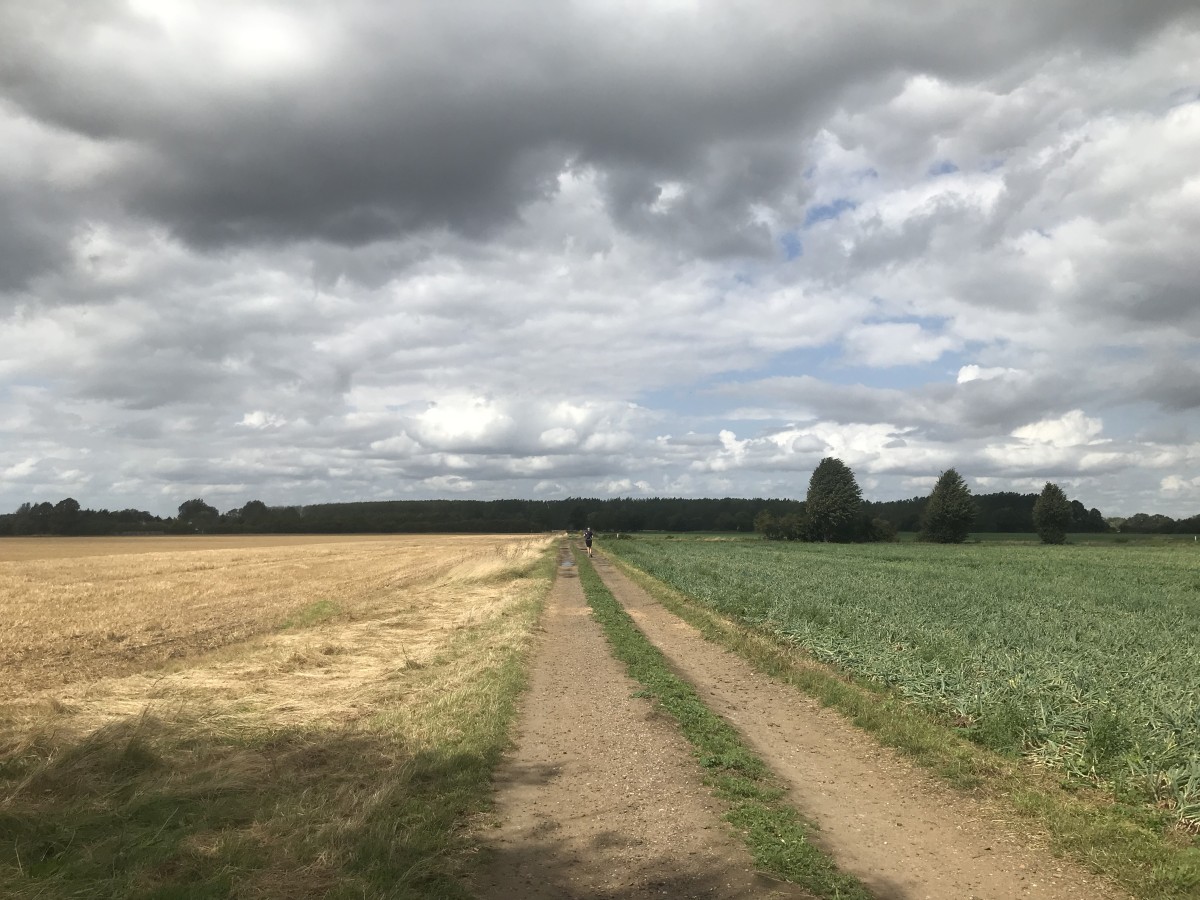 A long straight dirt track runs between a harvested wheat field and a green crop field towards distant woodland under a cloudy sky, a lone runner far ahead.