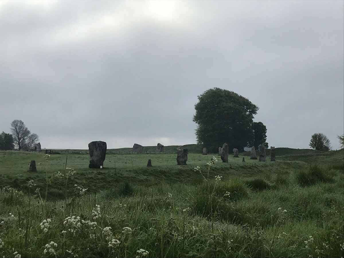 The standing stones of Avebury henge ring the horizon across a green meadow under a grey overcast sky, with cow parsley in the foreground.
