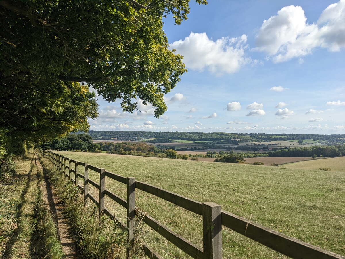 A narrow footpath runs alongside a wooden fence under a large oak tree, with a sweeping Chiltern countryside view stretching over rolling green and brown fields below.